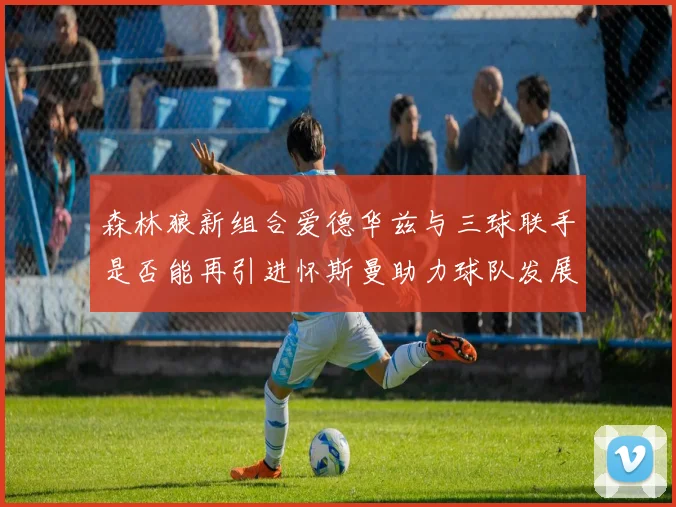 森林狼新组合爱德华兹与三球联手是否能再引进怀斯曼助力球队发展