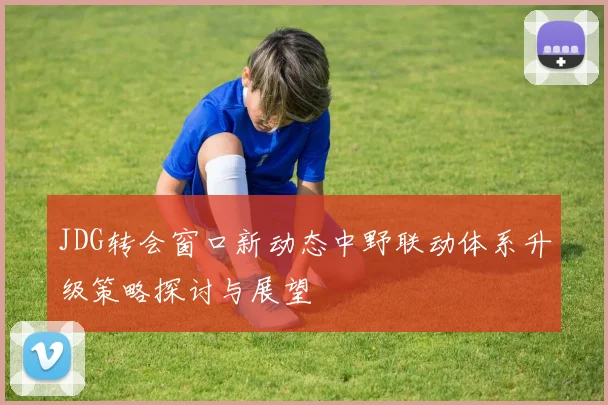 JDG转会窗口新动态中野联动体系升级策略探讨与展望