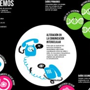 Ciencia para derrotar a la vejez